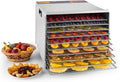 Klarstein Dörrautomaten, Silber, Fruit Jerky Pro - Dörrgerät, einzeln entnehmbar, einstellbare Temperatur, grosse Trockenfläche